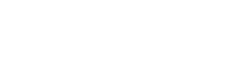 Professione Agile